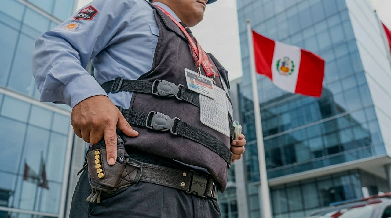 Cooperación entre la Policía Nacional (PNP) y la seguridad privada frente a la delincuencia — imagen 3