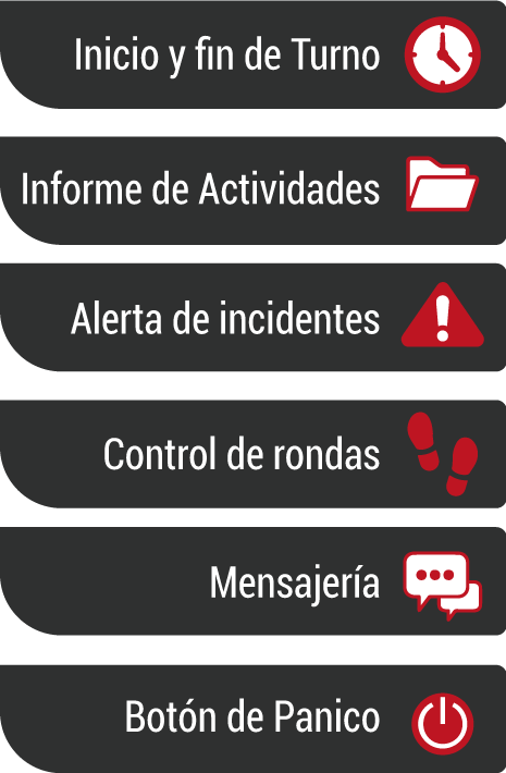 Seguridad y vigilancia Privada en Perú